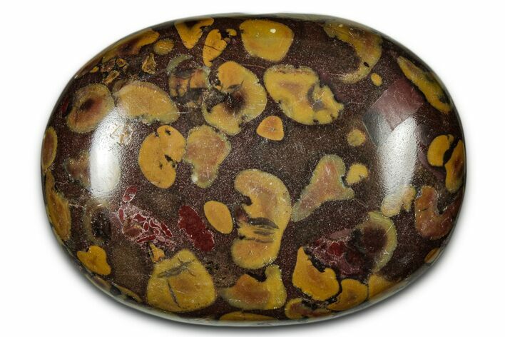 Polished Fruit Jasper Palm Stone - India #342247